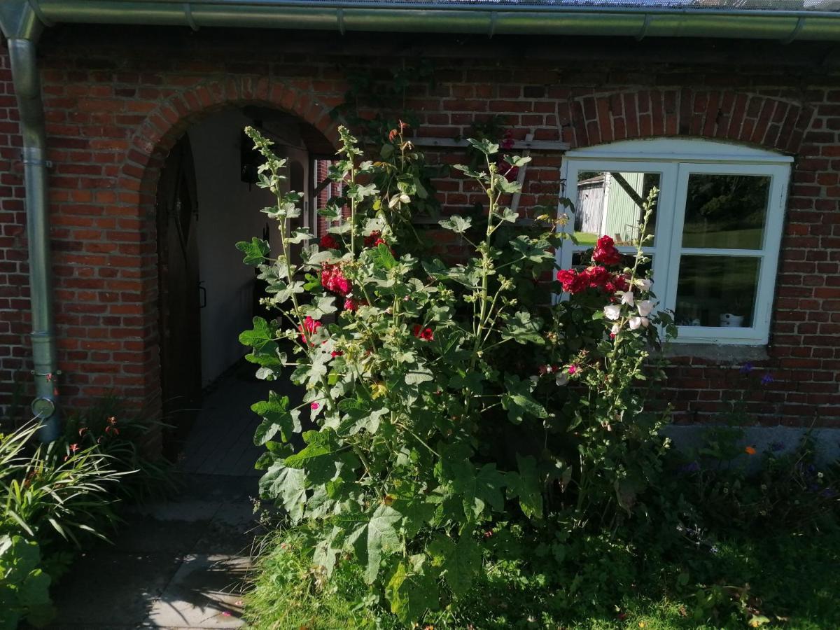 Fw Achterdeck, 1 Obergeschoss, Petershof-Lehbek Apartamento Gelting Exterior foto